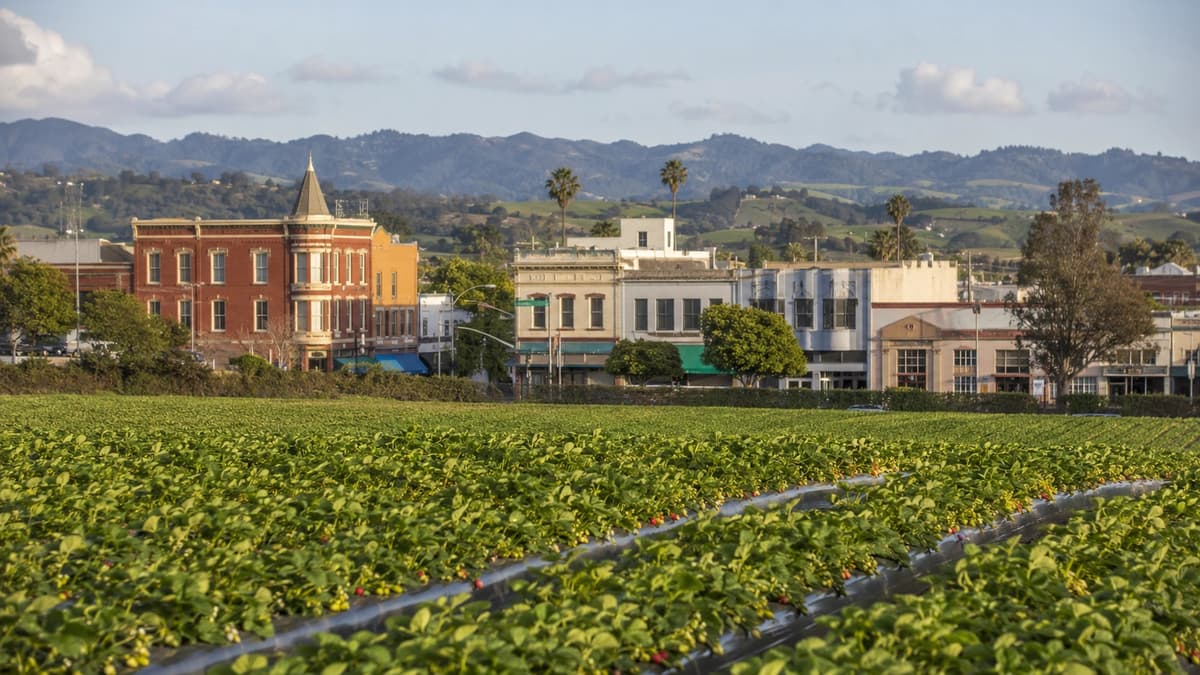 Watsonville California luxury homes