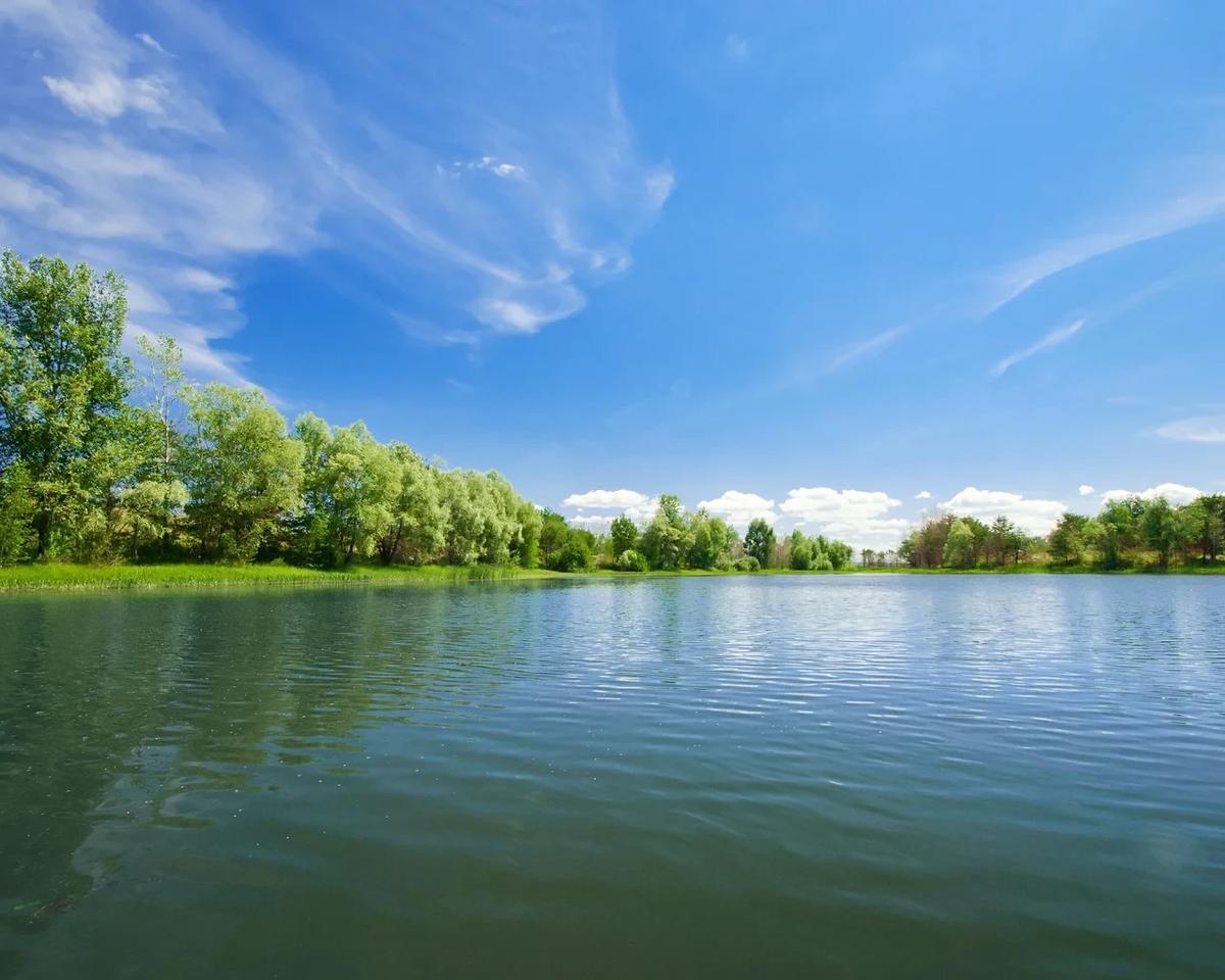 We Buy Houses Los Altos California: What Should Los Altos Homeowners